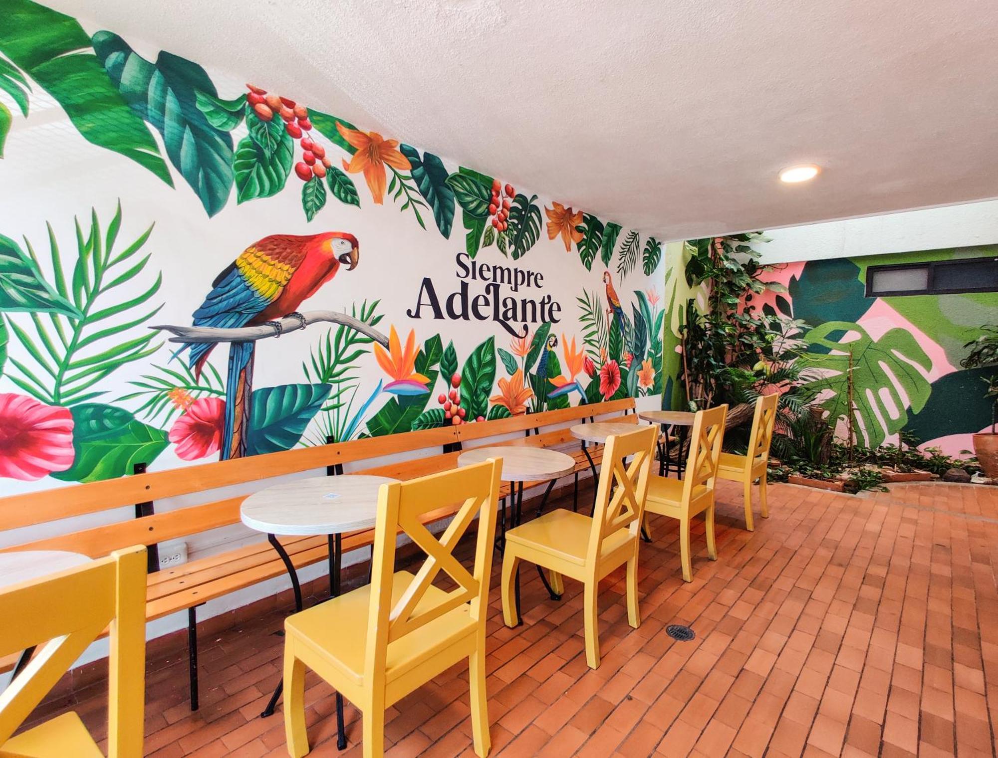 Zamia Hostel Bucaramanga Kültér fotó